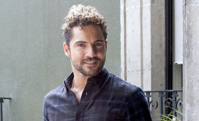 davidbisbal_soltero