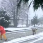 Lluvias