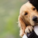 permiso laboral mascotas
