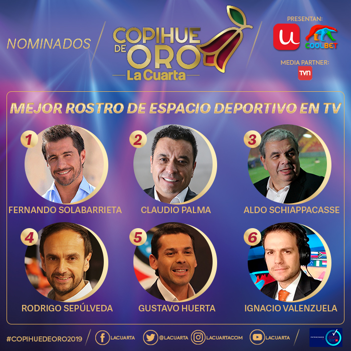 ¡Se viene el Copihue de Oro! Estos son los nominados y categorías