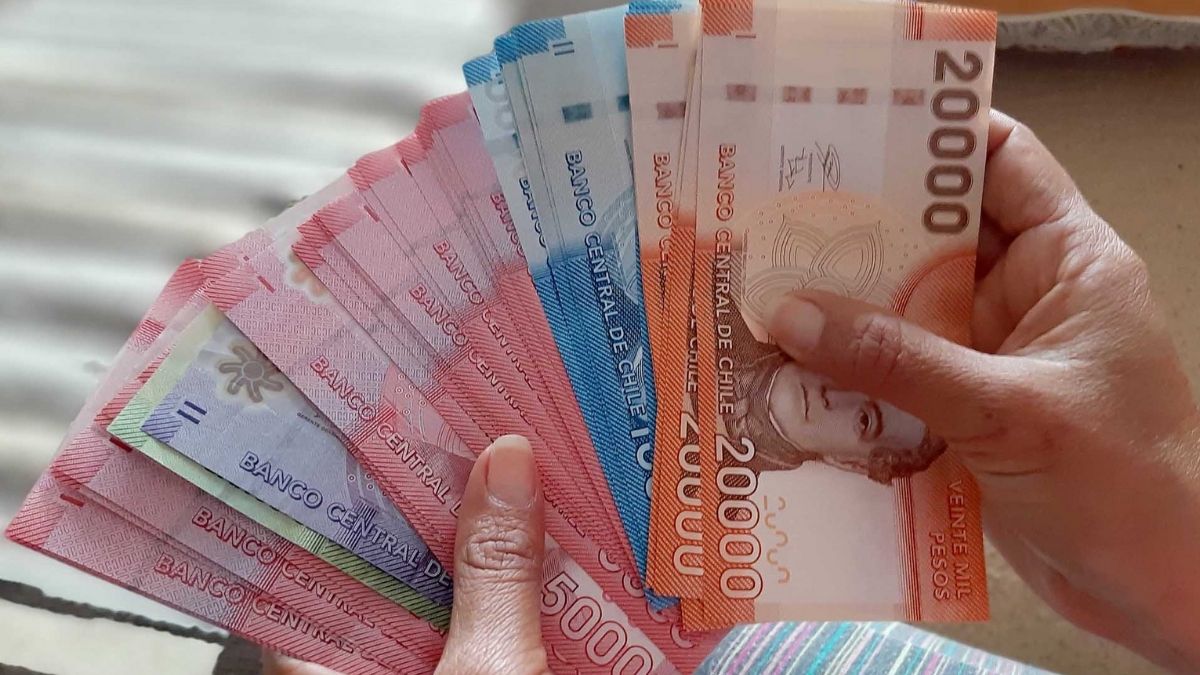 Pago Del Subsidio Protege Revisa Si Te Corresponde Y Como Postular