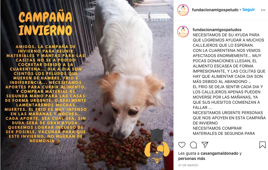 Fundación Amigos Peludos