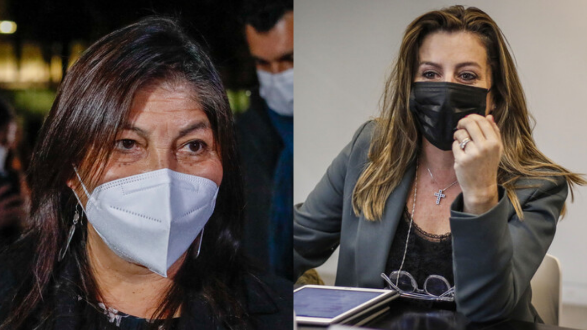 Teresa Marinovic Emplazo A Elisa Loncon Presidenta De La Cc Respondio
