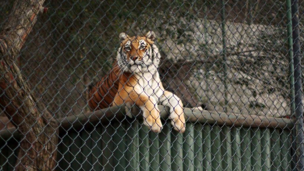 Parque Safari Rancagua