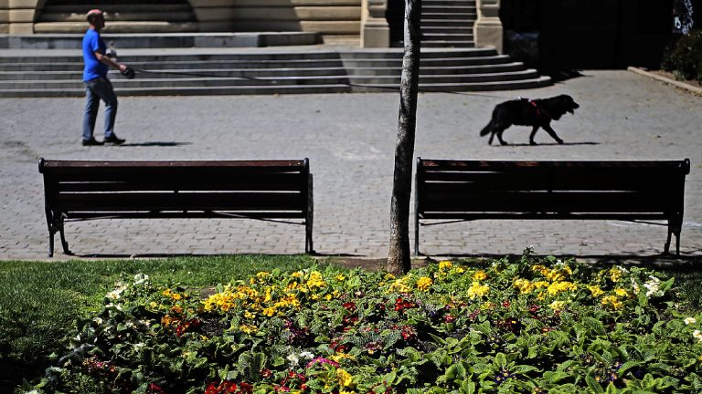 Primavera En Chile Cuando Comienza