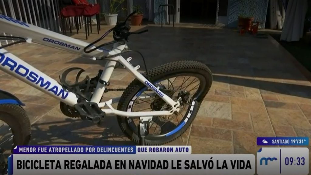 Neme Bicicleta 