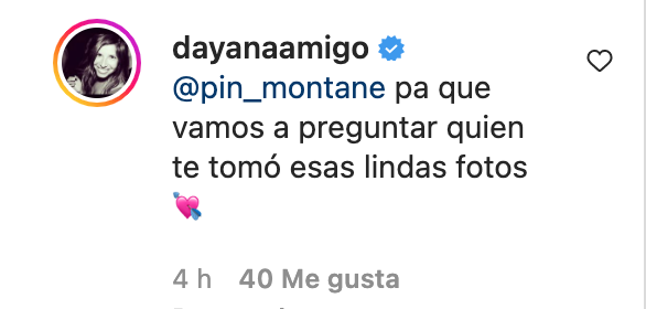 Comentario Pin Montané