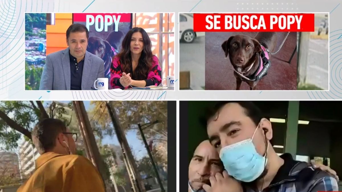 mucho gusto popy