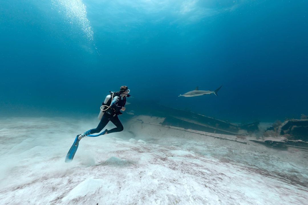 Mayte Rodríguez Nadando Con Tiburones Video