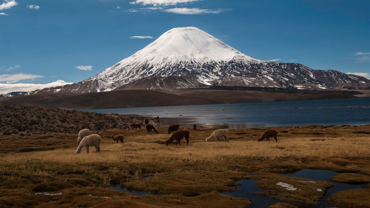 Vacaciones Tercera Edad Senatur 2022