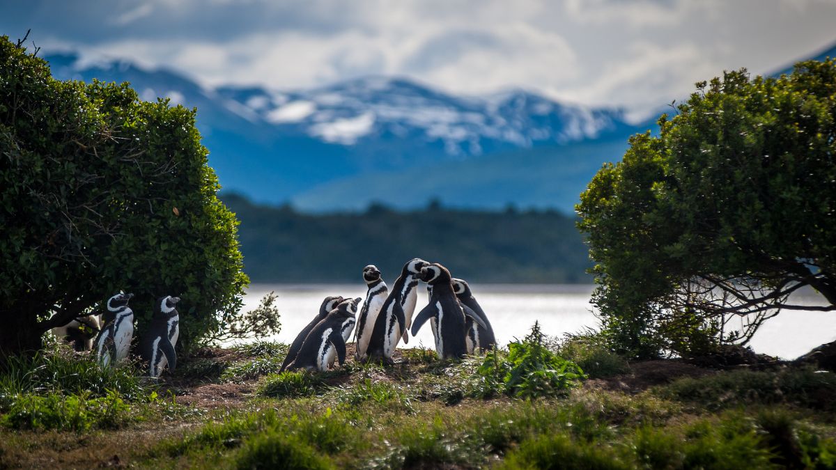 Vacaciones Sernatur Postular