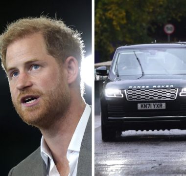 Harry Reina Isabel