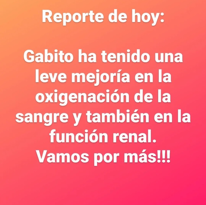 Gabriel Prieto Magdalena Max Neef