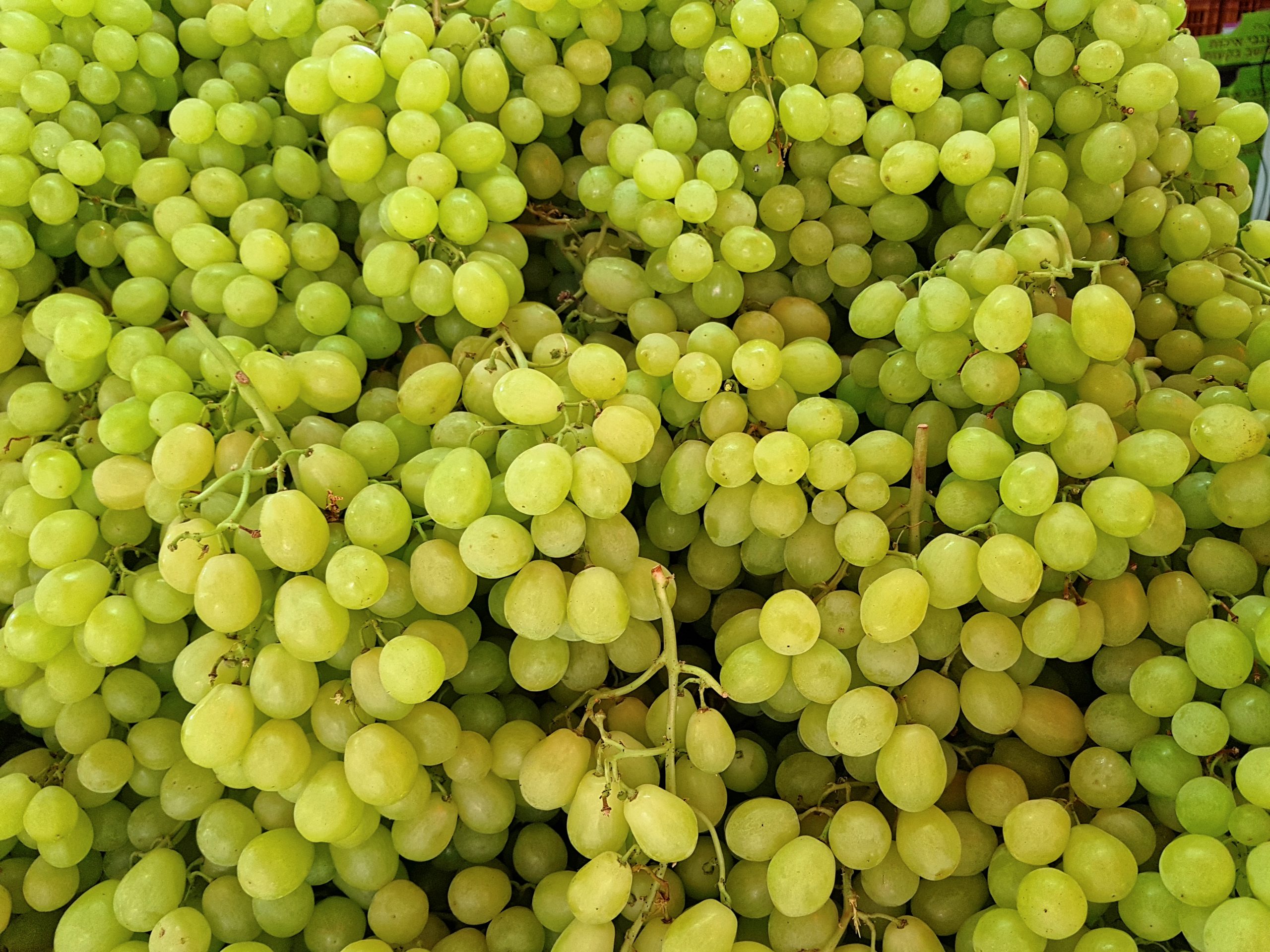 12 uvas