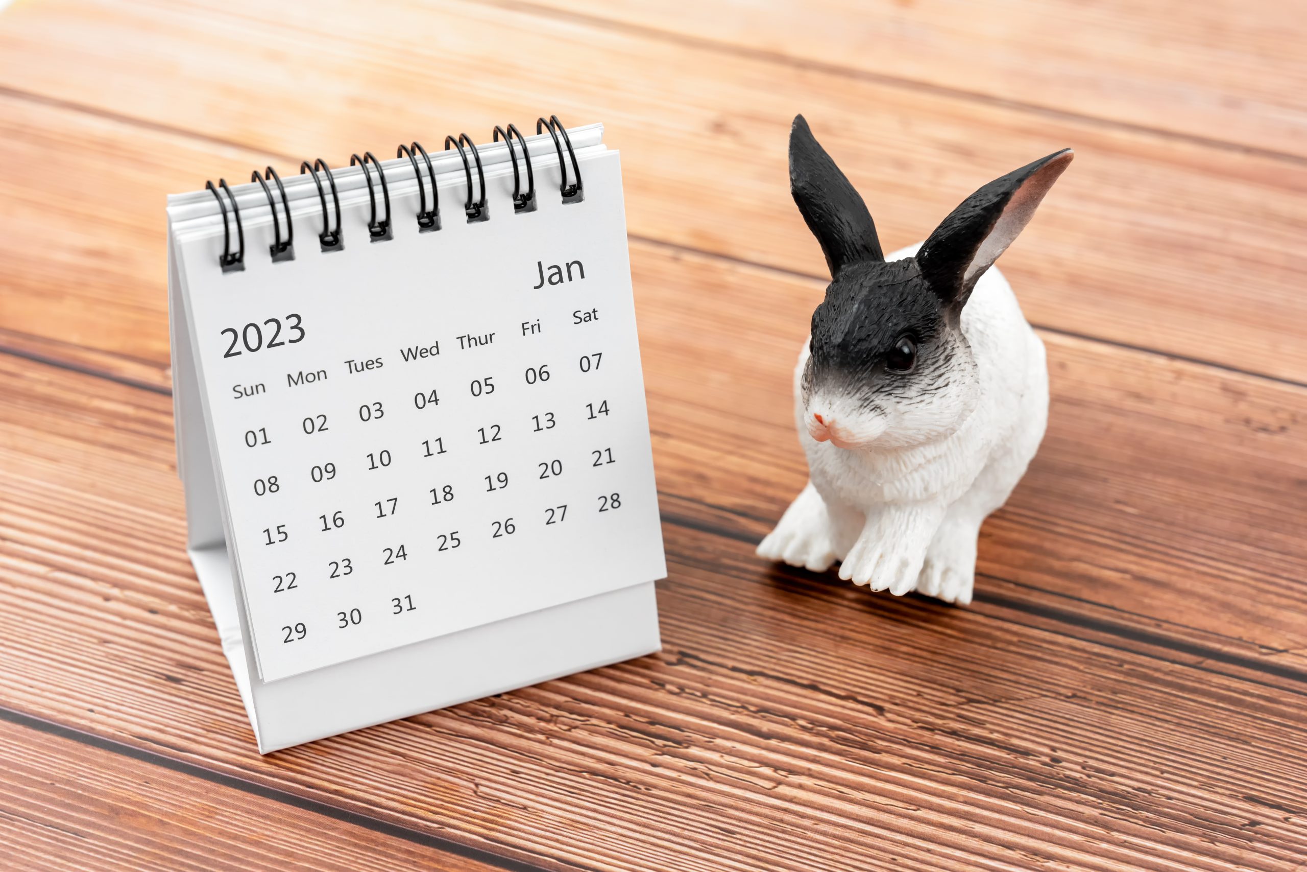 January 2023 Desk Calendar Year Of The Rabbit