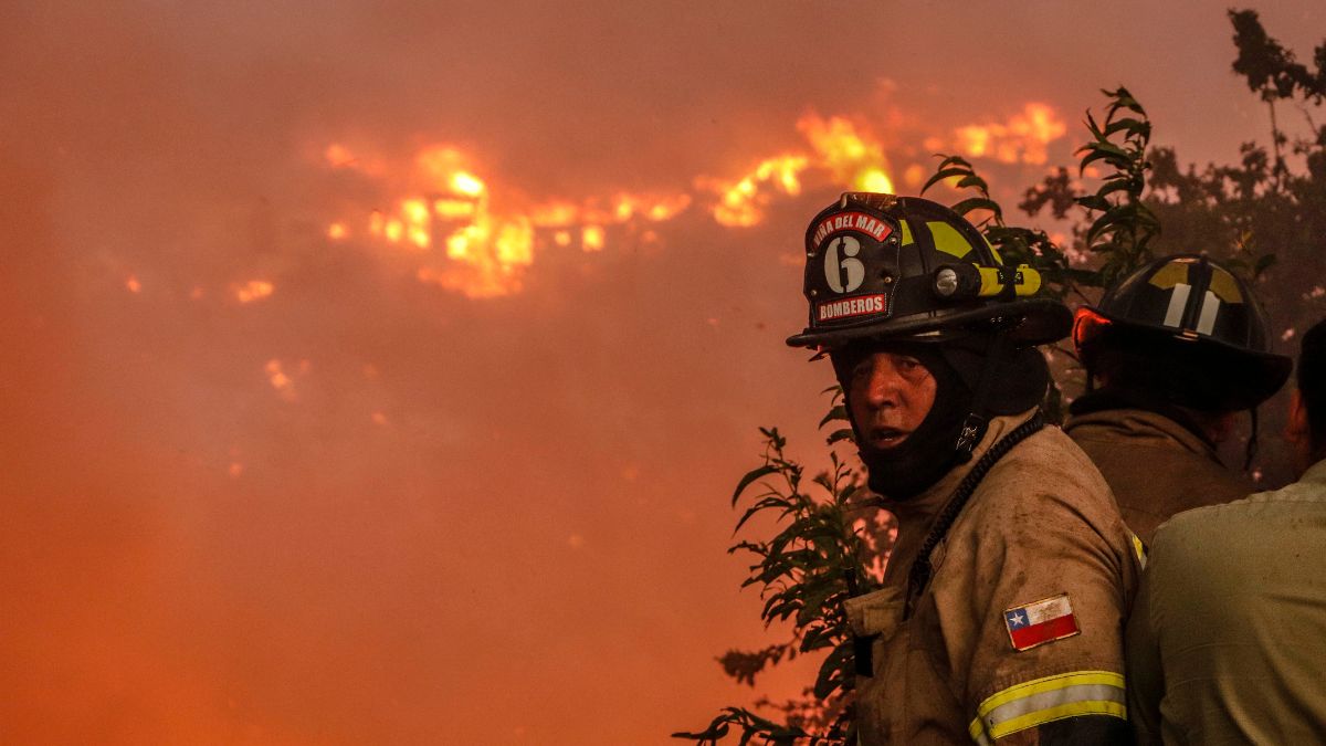 Incendio En Viña Del Mar (2)