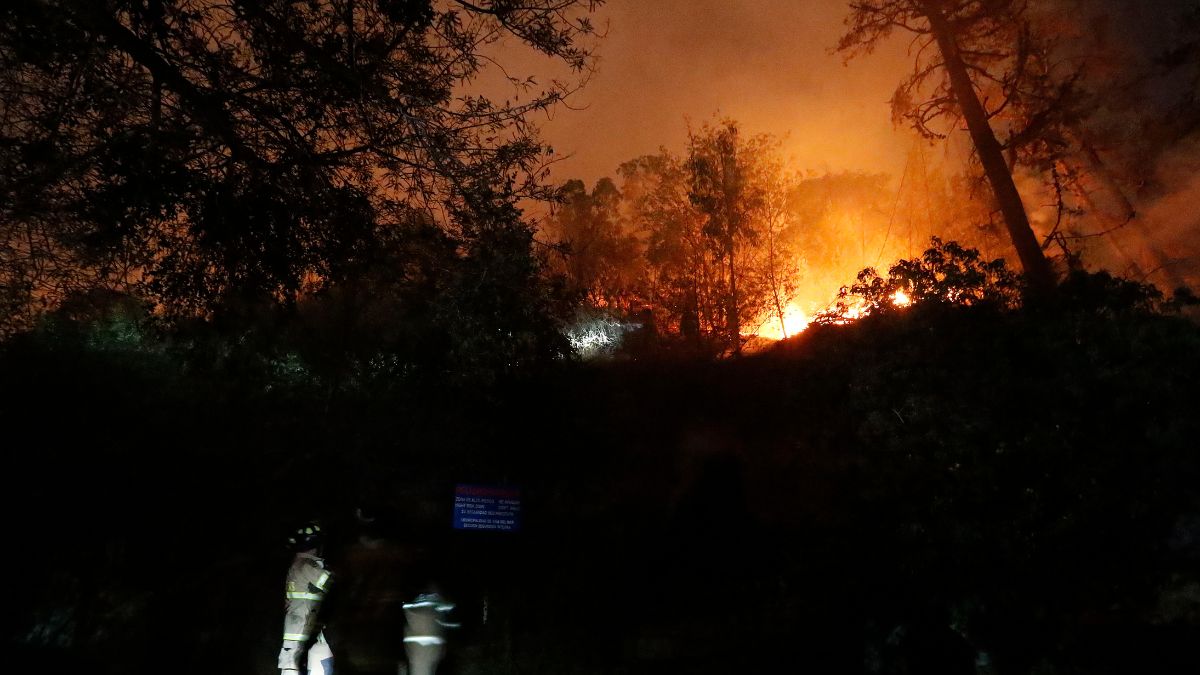 Incendio En Viña Del Mar (3)