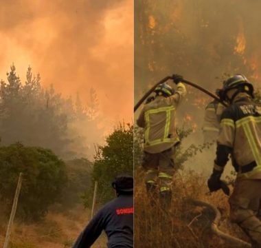 Ayuda Incendios Forestales