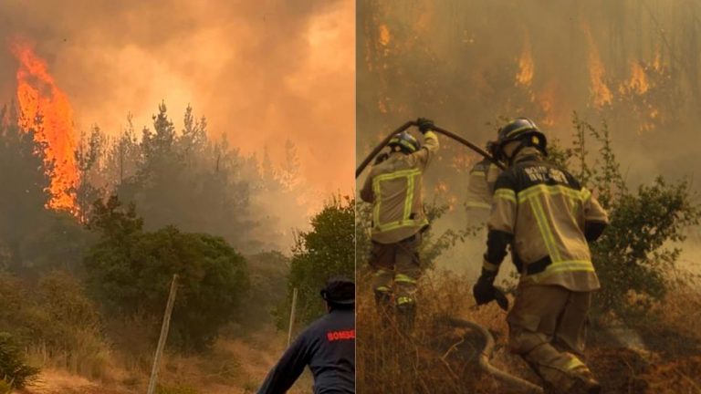 Ayuda Incendios Forestales