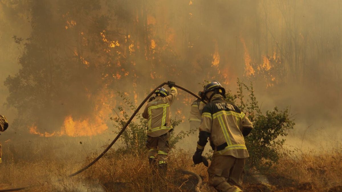 Gabriel Boric Se Suma A Los Incendios Forestales (1)