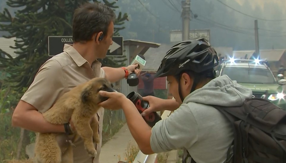 Gonzalo Ramírez Rescató A Un Cachorro En Tomé