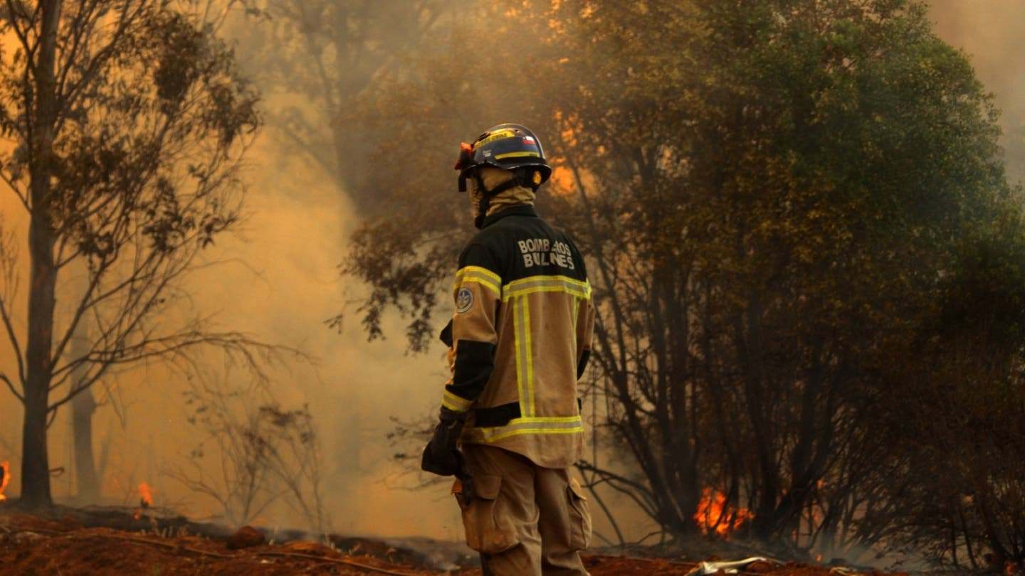 Incendios Forestales (1)