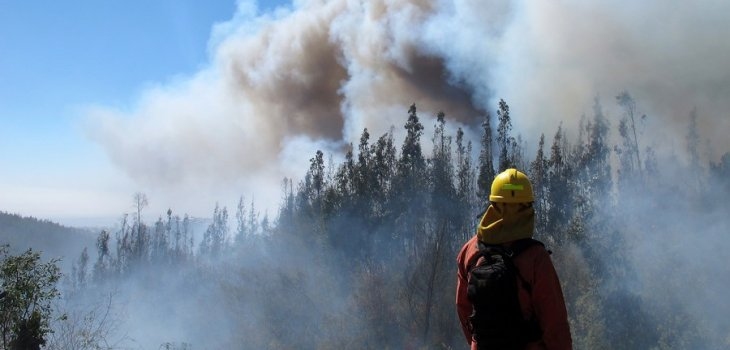 Incendios En Región Del Bio Bio (1)