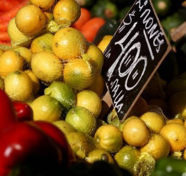 Alimentos Temporada