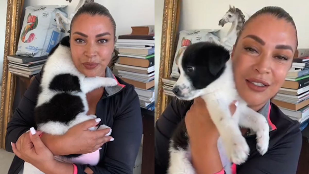 Marlen Olivari Nueva Mascota