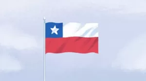 Bandera En Mástil