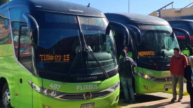 Buses Flixbus Mil Pesos
