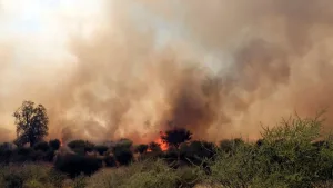 Incendio Curacaví (1)