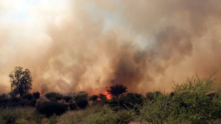 Incendio Curacaví (1)
