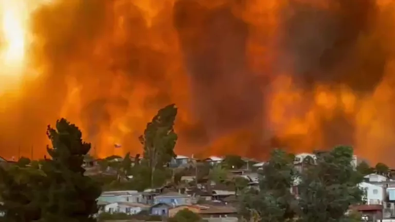 Incendio En Limache Valparaíso