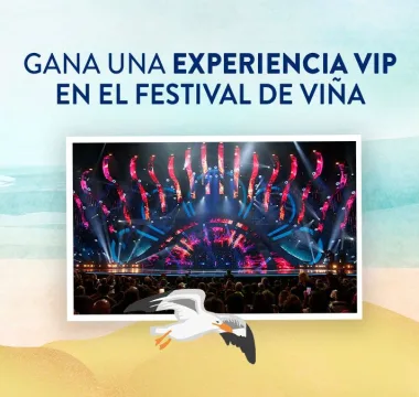 Ensure Festival De Viña
