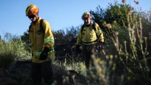 Incendio Forestal