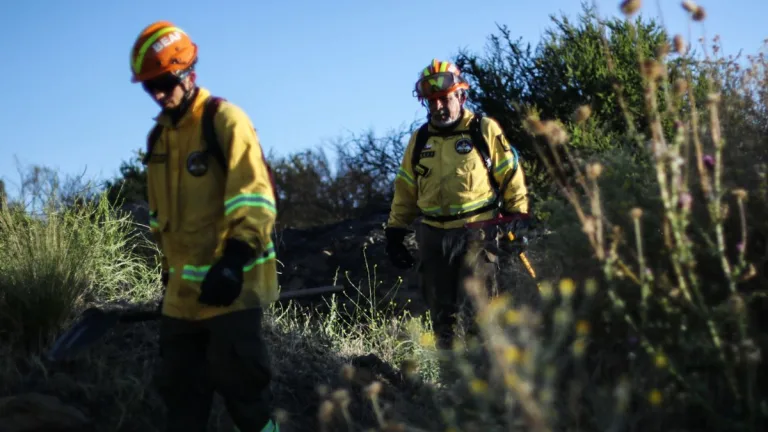 Incendio Forestal