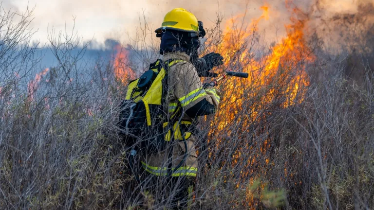 Estas Son Las Recomendaciones De Un Prevencionista Para Las Personas Ante Presencia De Humo