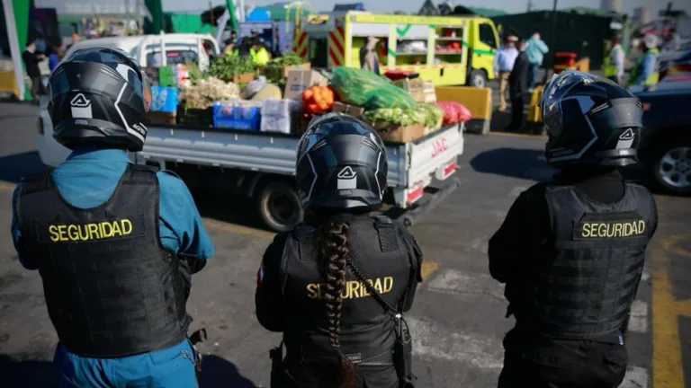 Guardias De Seguridad