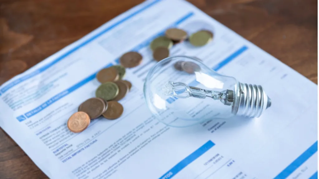 Subsidio De Luz ¿Qué Contempla La Iniciativa Y A Quiénes Beneficia (2)