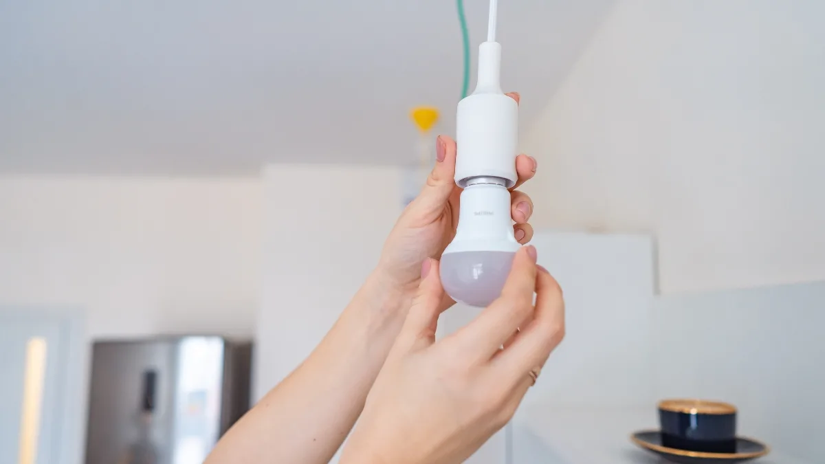 Subsidio De Luz ¿Qué Contempla La Iniciativa Y A Quiénes Beneficia