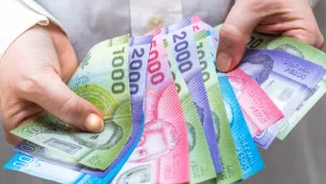 ¿Tienes Algún Bono Pendiente Por Cobrar Revisa Con Tu RUT Si Tienes Saldos A Tu Favor (2)