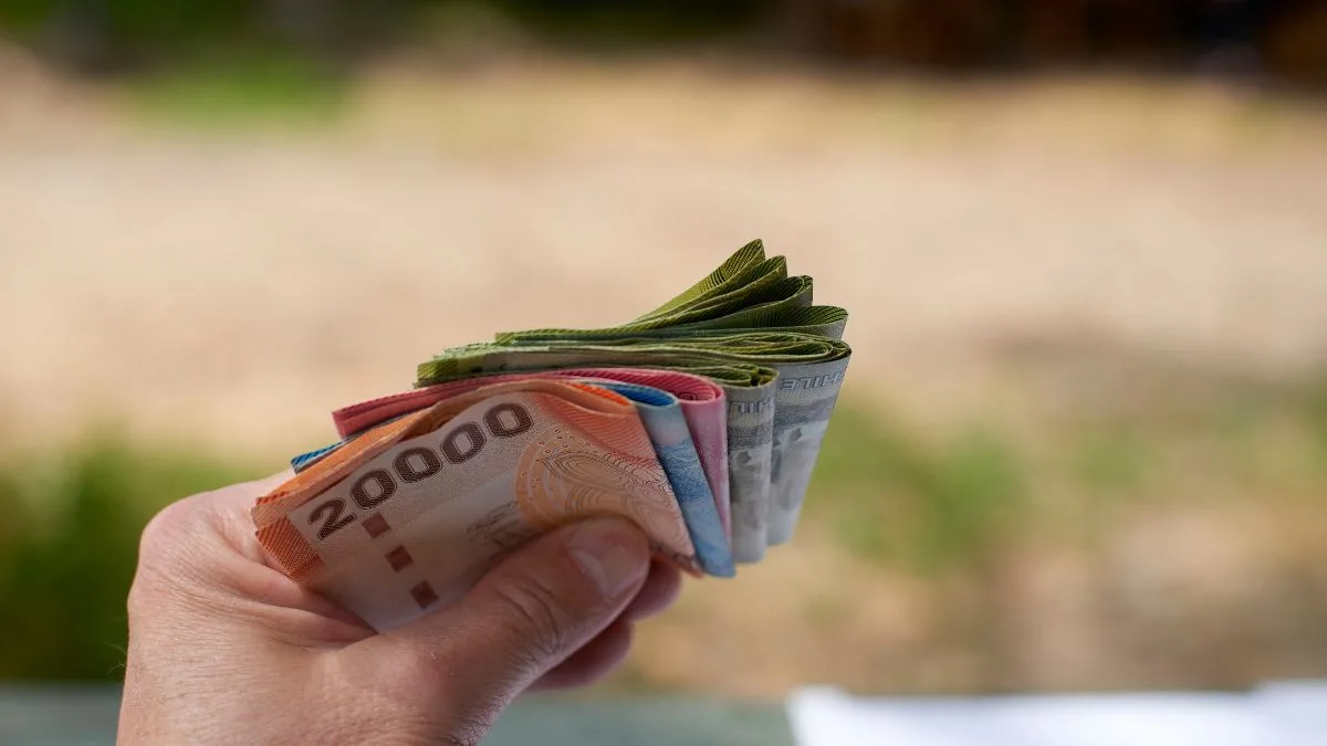 Saldos a favor en cajas de compensación: Revisa si tienes dinero y cómo hacer el trámite