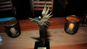 Nominados De Los Premios Caleuche