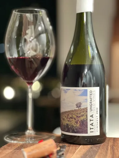 Vino Chileno Reconocido Internacionalmente