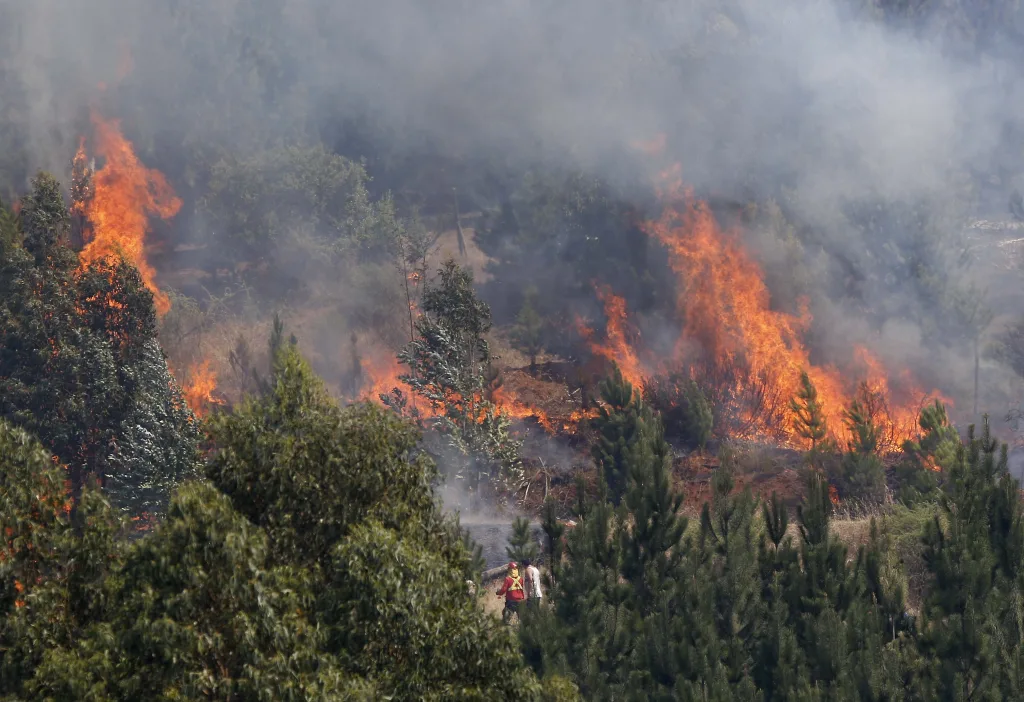 Incendios en La Araucanía mantiene toque de queda a 12 comunas de la región. Foto referencial.