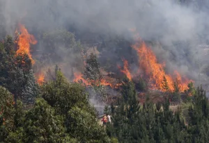 Incendios en La Araucanía mantiene toque de queda a 12 comunas de la región. Foto referencial.