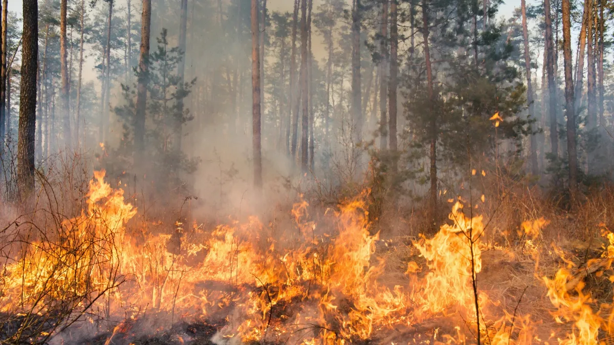 Presidente Boric Decreta Estado De Emergencia Preventivo Para Ñuble Y Maule Y Toque De Queda En Algunas Comunas 2