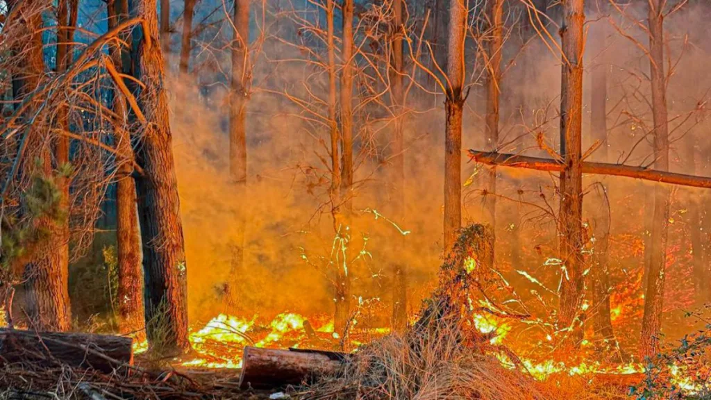 Incendio