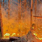 Incendio